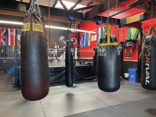 Inside of gym great equipment