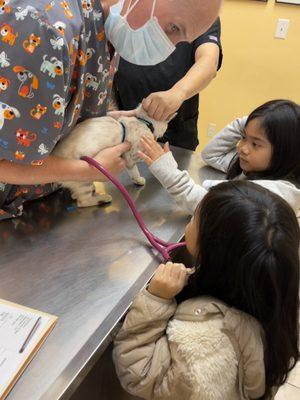 Girls learning while their kitten had its first checkup