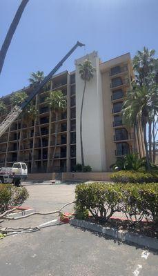 Commercial Palm Removal In Progress