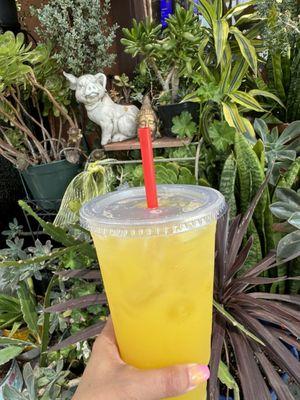 Pineapple agua fresca and plants outside