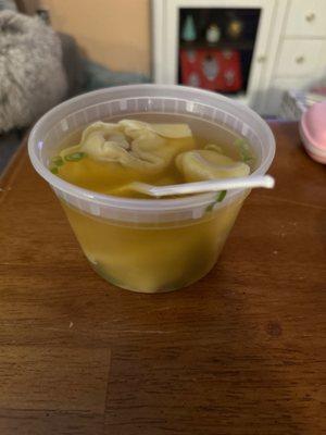 Wonton Soup