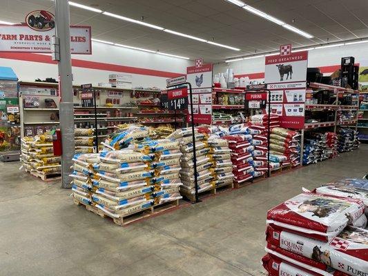 Large selection of chicken foods