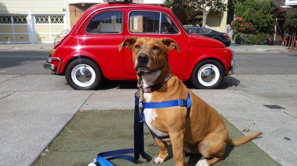 Just a stroll through San Francisco in the summer.