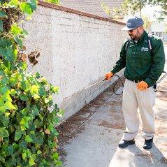 General pest Control monthly maintenance service is been applied for customers home.