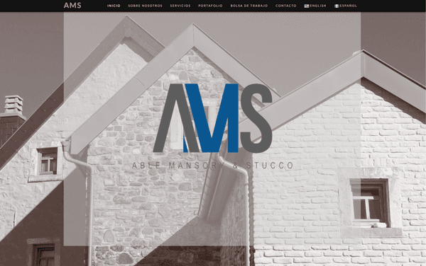 Web Design fo AMS / Diseño Web para AMS