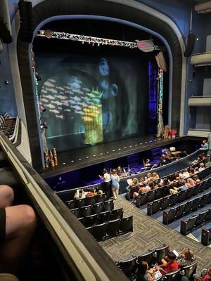 Our box seating view in Ferguson theatre.