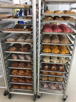 Fresh baked goods cooling on the racks.