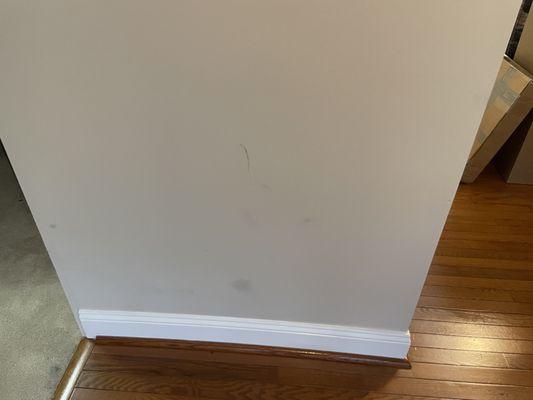 Freshly painted wall scuffed and marked up during delivery.