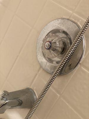 Shower fixture not cleaned