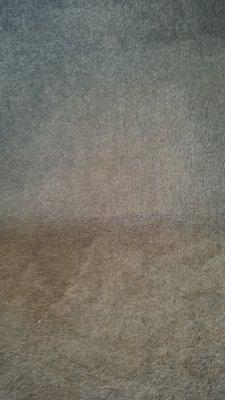 Before and After Carpet Cleaning