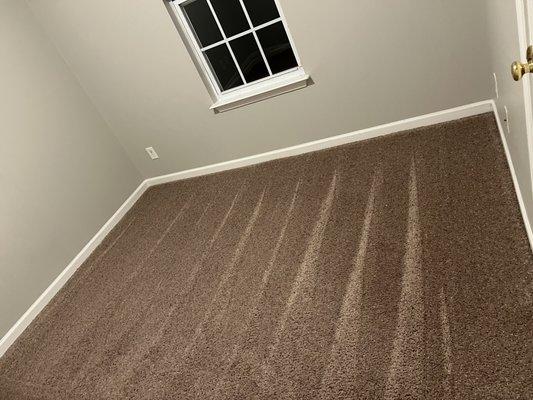 Carpet cleaning