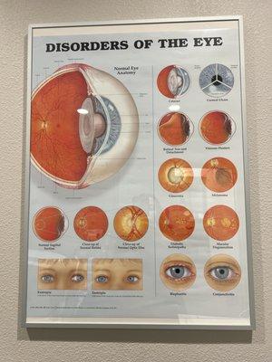 Northern California Cornea Associates