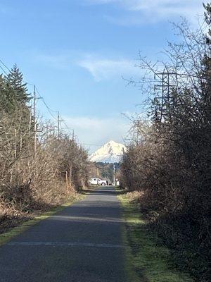 Springwater Corridor Trail