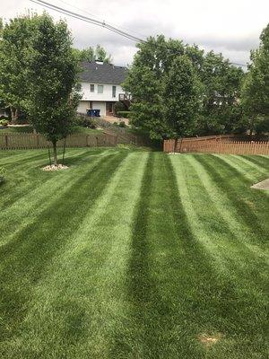 Beautiful yard we cut.