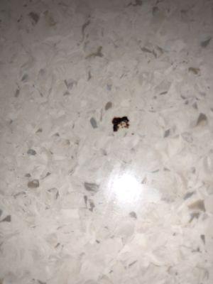 Dried chunky blood in "just cleaned" room. Nurse tried to argued that it wasn't blood