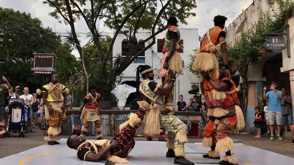 Harambe Village Acrobats