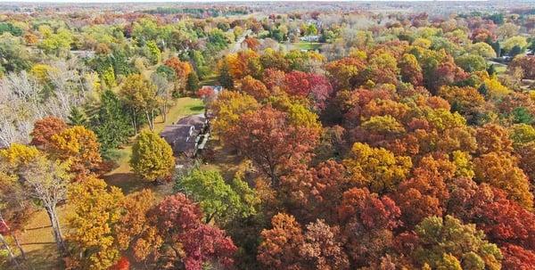 Aerial Photo 10 Acre Estate In Commerce 2771 Welch Road