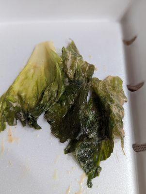 Old lettuce in my sandwich. Disgusting