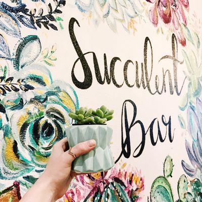 Pick your pot, pick your succulent and we'll put it for you with our succulent cart!