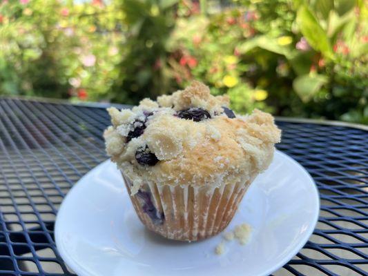 Blueberry muffin