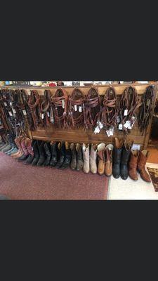 Bridles & Boots