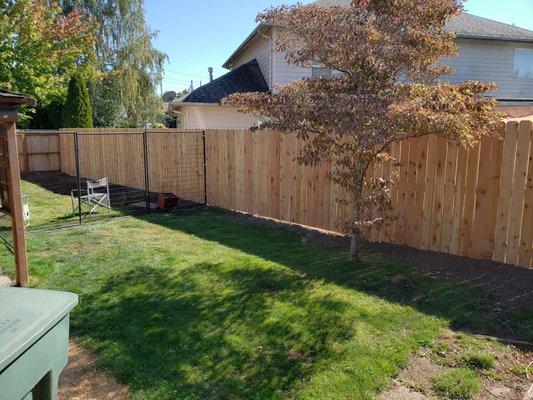 Cedar Fence