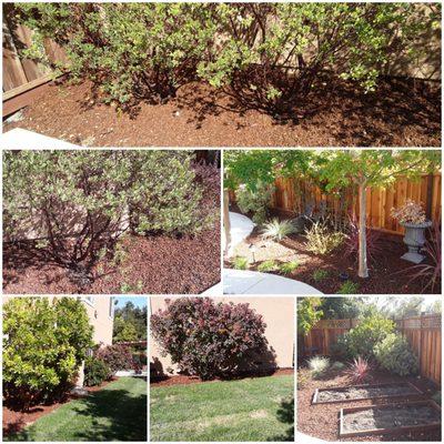 Exterior Landscaping