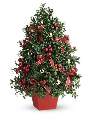 Boxwood tree advertised on Lola's & Teleflora's website