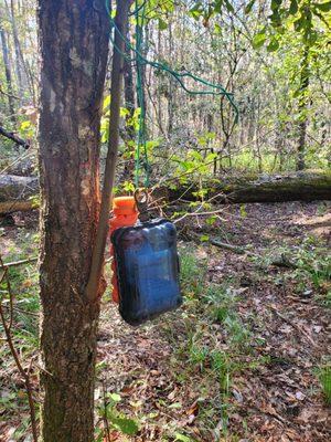 Hanging backup geocache just past the wood pile you climb over