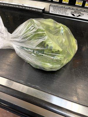 Organic lettuce