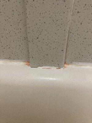 Mold/ Serratia marcescens on the shower....