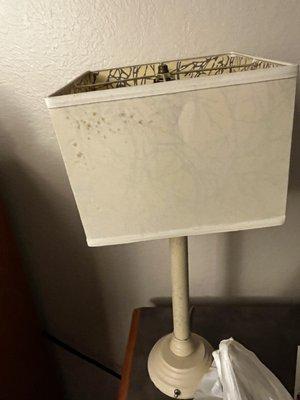 Blood stains in the room on the lampshade was kind of icky.