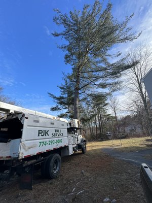 PJK Tree Service