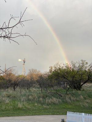 Amarillo at its best!