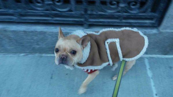 Roxy rocking her Louis Vuitton coat.