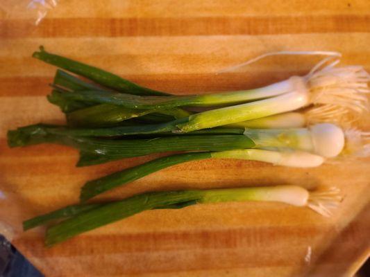 Green Onions and Leeks