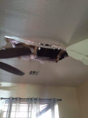 Where he fell through the ceiling