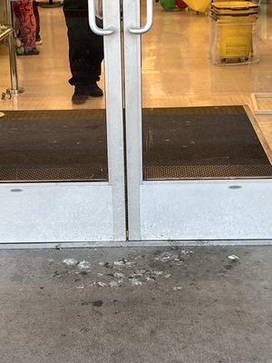 Store Entrance, might get pooped on.