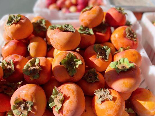 Clement Street Farmers Market