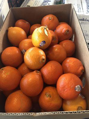 Tangerines