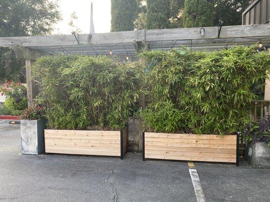 Vegetation hidden outdoor seating area