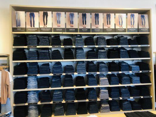 Women's Denim Wall