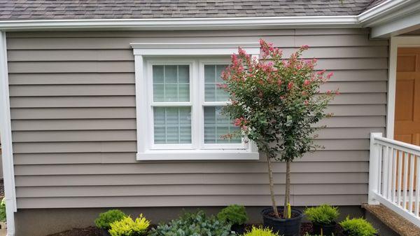 Vinyl Siding & Window Trims