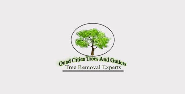 Tree removal experts