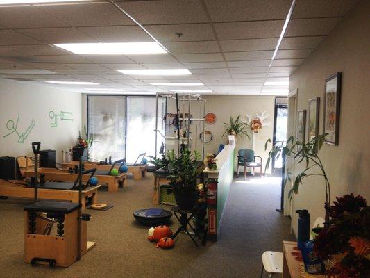 Body Dynamic Physical Therapy + Pilates + Wellness