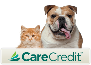 We now accept Care Credit!!!!