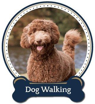 While most of our clients are for overnight sitting we have some availability for dog walking clients.