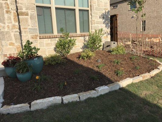 Flowerbed and stone edging