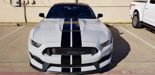 Ford GT350 with Llumar Paint Protection.