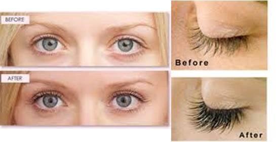 Lash & Brow Tinting